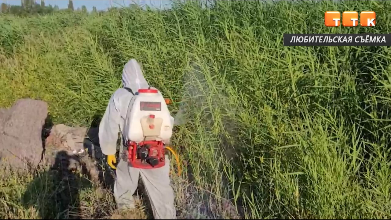 Дезинсекция завершена