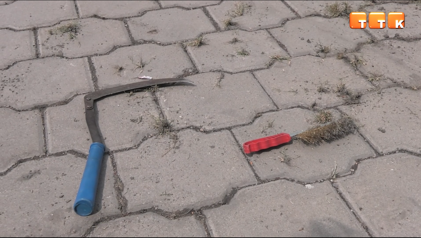 Помощь природе