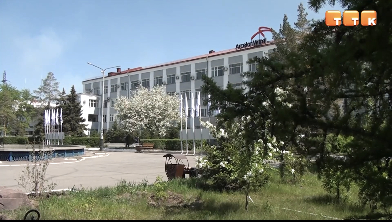 Подготовка к осенней высадке деревьев