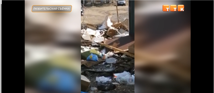 Крысы атакуют Темиртау