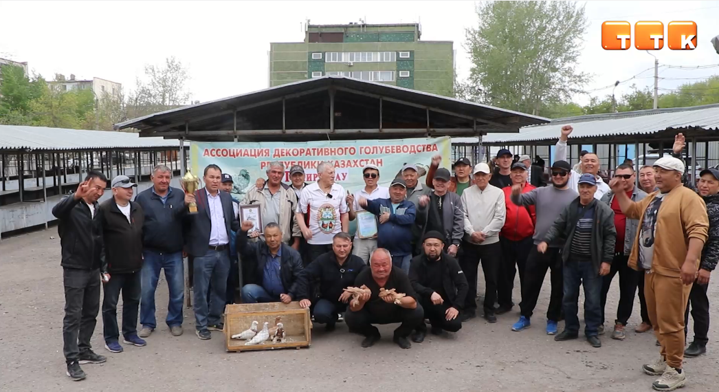 Махаббат пен көгершіндер: Теміртаулық әуесқойлар көрмесі